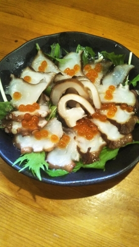 スルメイカの刺身 いかそうめん 切り方と盛り付け方 - 魚料理と簡単レシピ