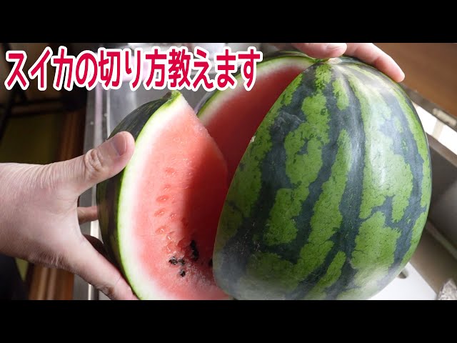 スイカの切り方ブロック編 便利ライフハック- エキスパート - Yahoo!ニュース
