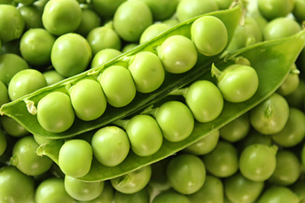 パリッポリッ！音まで美味しいスナップエンドウ突然ですが、 今が旬の緑のお豆にまつわるクイズです！ さやえんどう、グリーンピース、えんどう豆。この3つのお豆の違いは何でしょうか？ 品種の違いでしょうか・？ 実はすべて同じお豆。 成長過程や食べられる部位