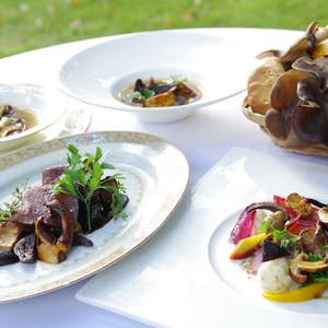 蓼科 犬連れでランチできるカフェ15選！蕎麦屋などペット可・店内犬同伴OKのお店まとめワンコnowa