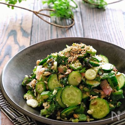 基本からアレンジまで！思わずつくりたくなる「オクラ さっぱり」のレシピ集クックパッド