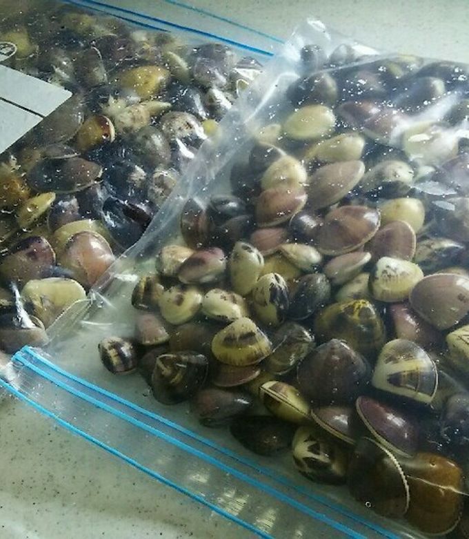 ハマグリの旬を楽しむ！ 美味しいハマグリの見分け方と保存方法 - 旬の食材の調理法や保存方法で、おうちごはんがもっと美味しくなる