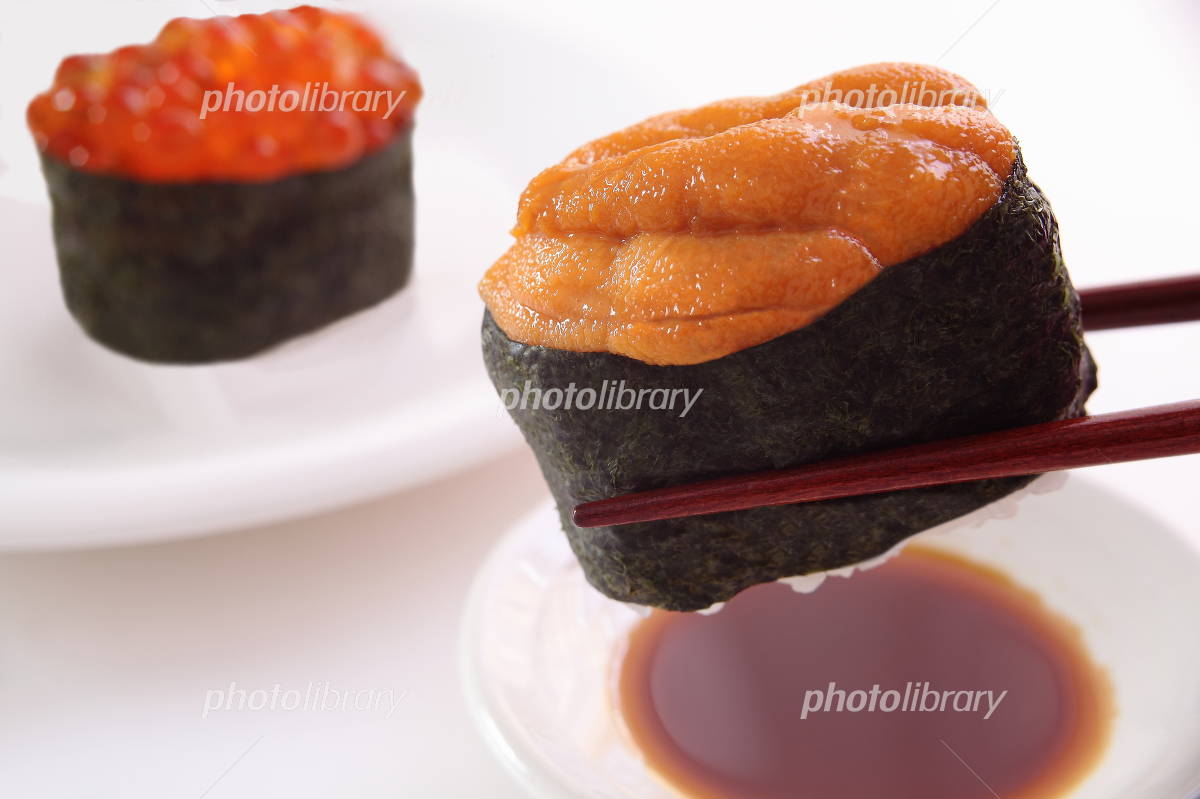 ウニ軍艦巻きの写真素材写真素材なら「写真AC」無料 フリー ダウンロードOK