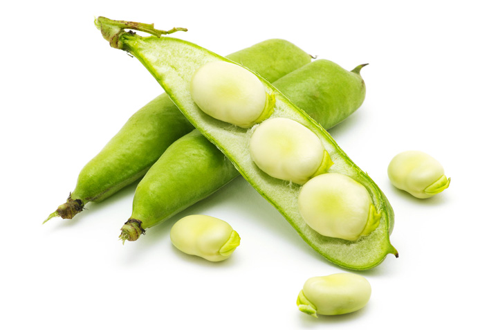 だだちゃ豆ずんだ餡 - だだちゃ豆の通販・直売所なら山形のだだちゃ喜左衛門