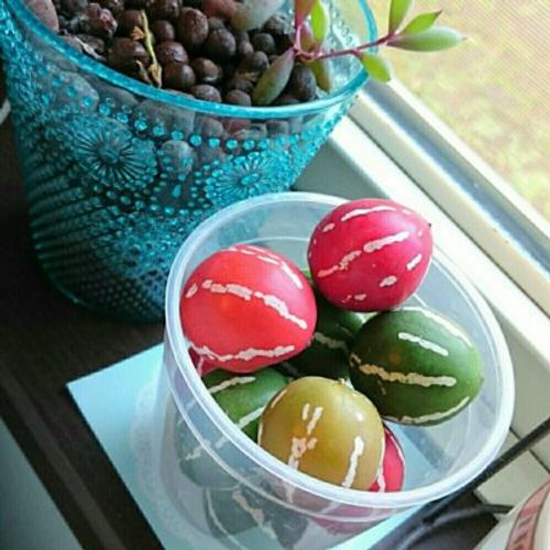 可愛すぎ～☆スイカみたい～！琉球カラスウリの実 : 志乃's スローライフ通信