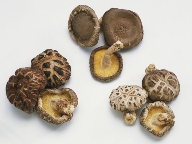 冬のしげの家名物は「天然茸の鉄皮鍋」ニュース -公式 千曲乃湯 しげの家戸倉上山田温泉 8室だけの住む宿