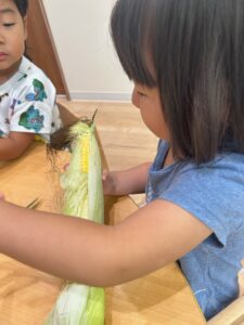 調理用具 皮むき器 粒を簡単に剥き取る とうもろこしカッター ステンレス製 殻抜き コーン粒取り器 とうもろこしピーラー : TBH - 通販 -Yahoo!ショッピング