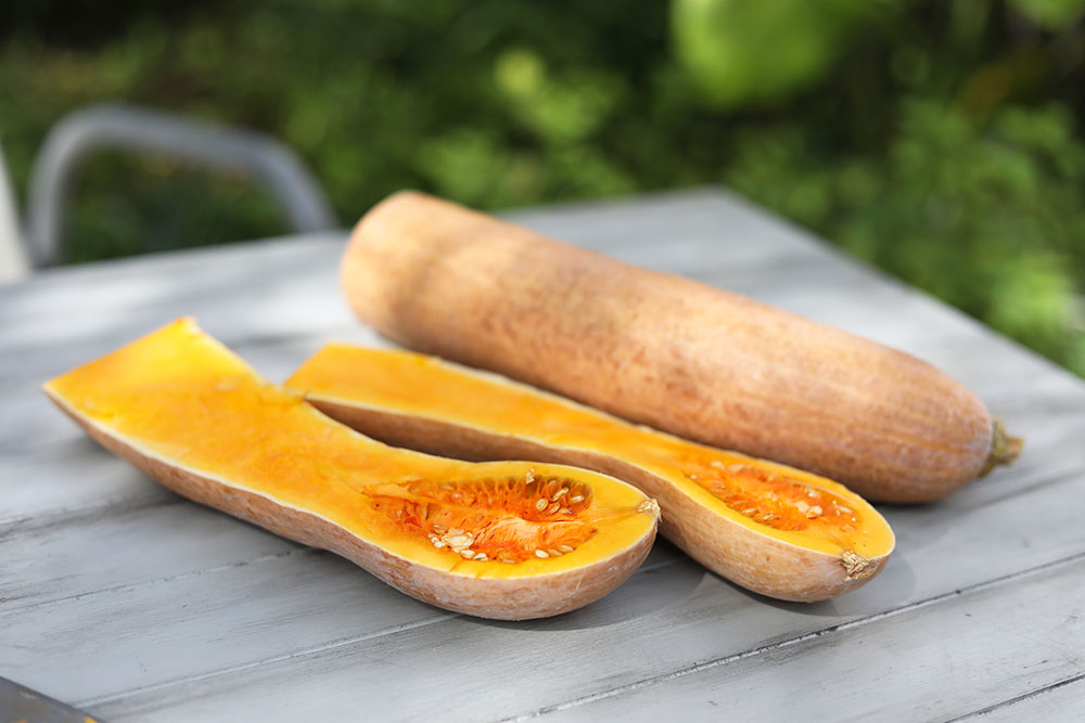 日本古来の品種である鶴首かぼちゃとバターナッツかぼちゃ。会社の畑で採れたもの、たまたまオフィスに来ていた安藤シェフに、おすすめの美味しい食べ方を聞いたらパスタがいいとアドバイスをもらい作ってみました。かぼちゃを食べやすい大きさに切って下味をつけて