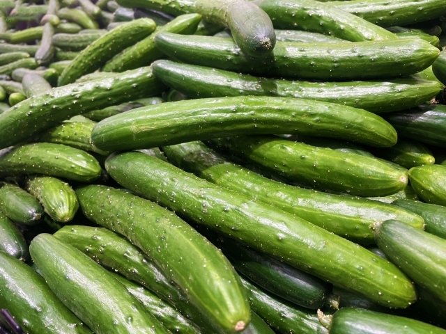 キュウリ ぬめり 食べられる？キュウリの育て方.com