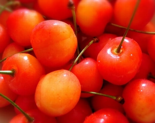 しあわせ果実七福神濃いとろラ・フランス720ml七福神濃いとろシリーズ濃厚果実のお酒 北のさくら