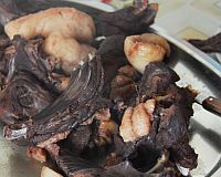 ケーキやデザートの器として子供用のカワイイ動物アザラシ絵皿