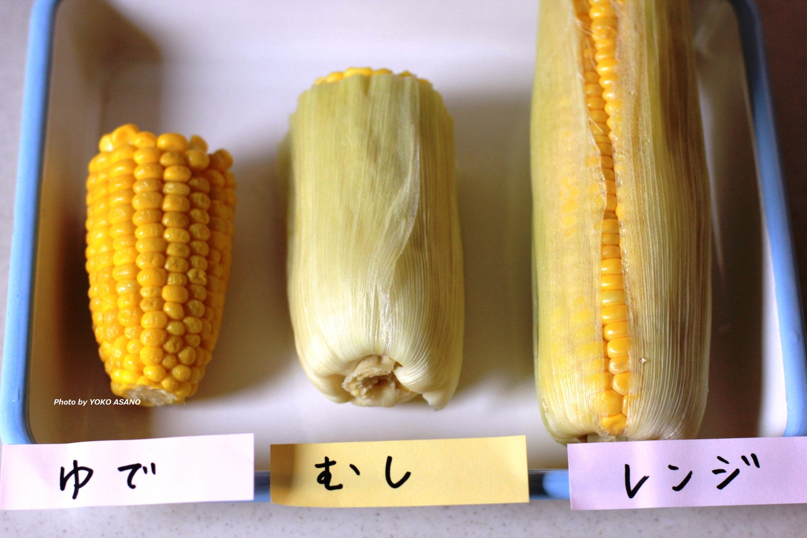 とうもろこしの茹で方を解説！皮付き・皮なしの場合の茹で時間や塩の量、レンジを使った簡単な方法もふるなび公式ブログ ふるさと納税DISCOVERY