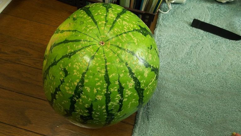 スイカとメロンの放棄されたフィールドです腐ったスイカメロンの収穫のままにしますフィールド上の野菜が腐りかけています -ひびが入ったのストックフォトや画像を多数ご用意 - iStock