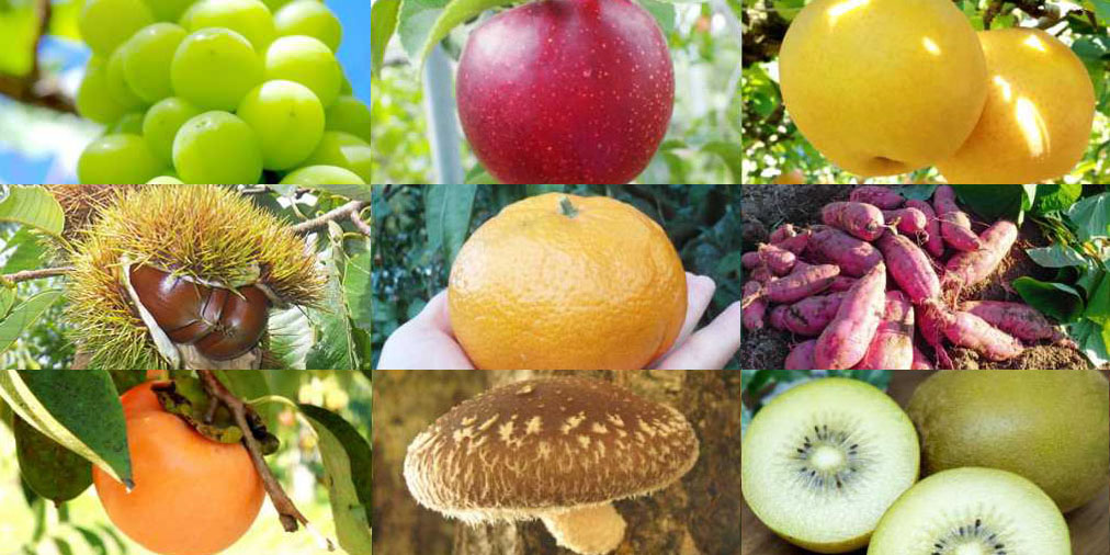 9月が旬の果物は？ 「走り」「盛り」「名残」で夏から秋への味わいを楽しむマイナビ農業