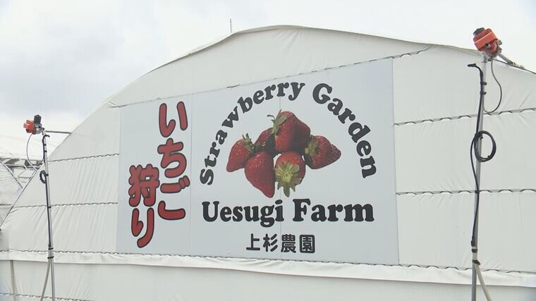 農業用大型ビニールハウス・耐雪型ハウスなら - 丸二物産