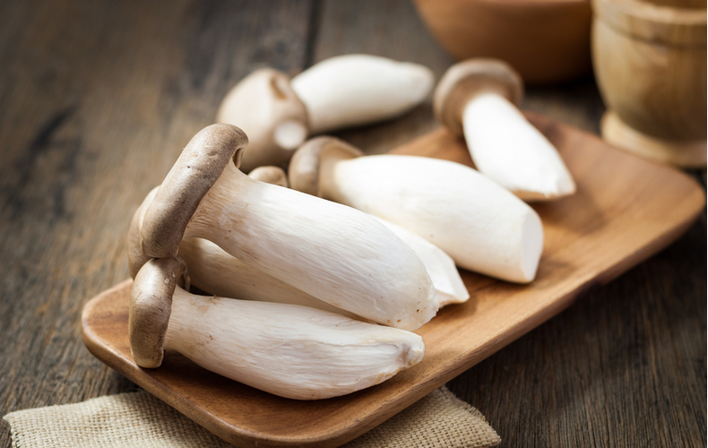 湿地茸の写真素材 - PIXTA