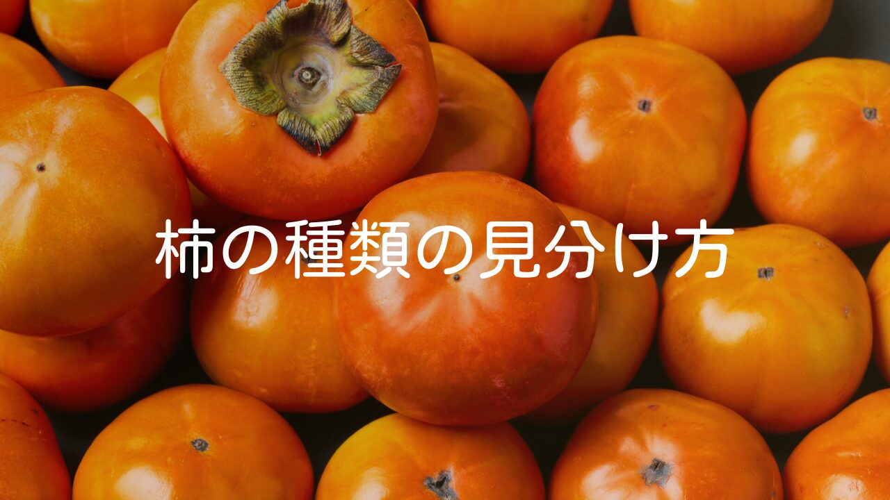 切って驚く黒い柿！甘味たっぷり「紀の川柿」株式会社まつの
