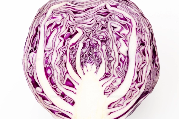 紫キャベツのマリネ