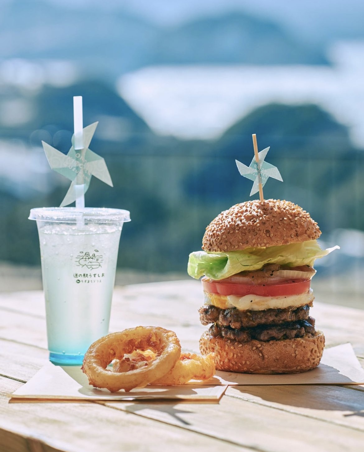 道の駅うずしおで「淡路島バーガー」を食べれば5分で淡路島を満喫できるよ - 毎日が自由研究
