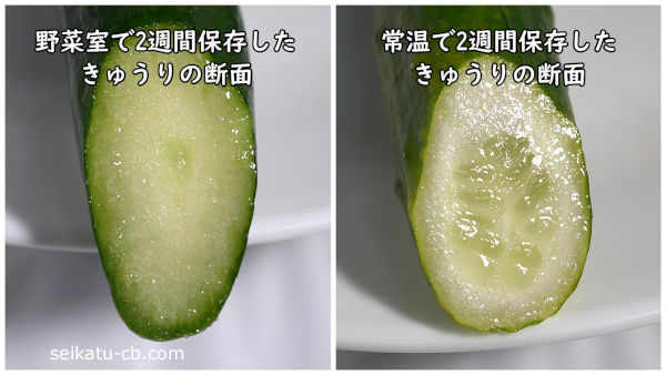 きゅうりの葉が黄色くなった時の対処法葉が黄色くなる原因や解決策を紹介！ベジベジドットコム