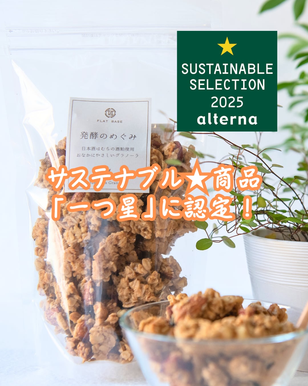 ザクザク！超美味しい松のグラノーラバーの作り方 – 旅する発酵倶楽部