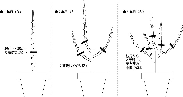 コラム - 株式会社 東 商