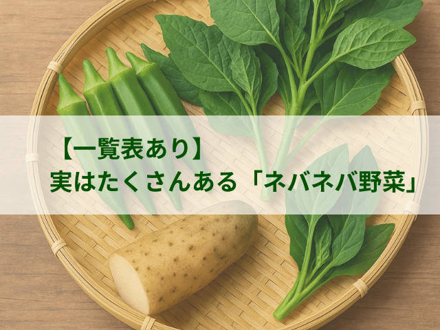 夏野菜 カテゴリ商品一覧│鈴宮農園 公式通販サイト 露地野菜・オリジナルドレッシングの販売