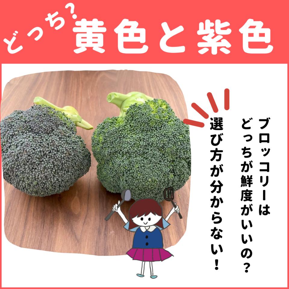 ブロッコリーが黄色に変色？これって食べていいの？元スーパーの店員が解説！ ぱるとよ- エキスパート - Yahoo!ニュース