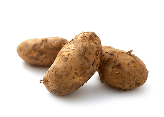 よくねたじゃがいも メークイン 北海道産 有機野菜 通販 Ｏｉｓｉｘ おいしっくす