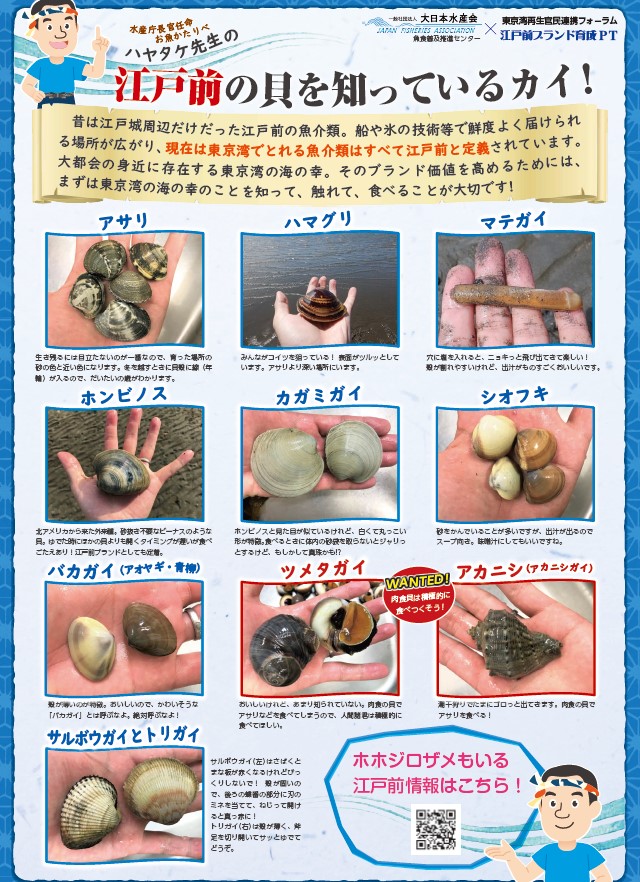 二枚貝 - Wikipedia