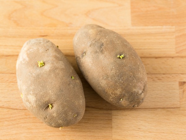 じゃがいもの芽はどの程度まで取りますか？ - 写真のようなとても小さいものも- Yahoo!知恵袋