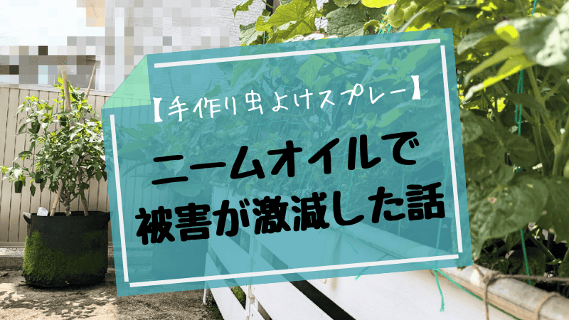 おばあちゃんの知恵袋＞ 砕いた卵の殻：北陸中日新聞Web