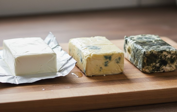 ソトイワシが獲れました！！ とりネット 鳥取県公式サイト