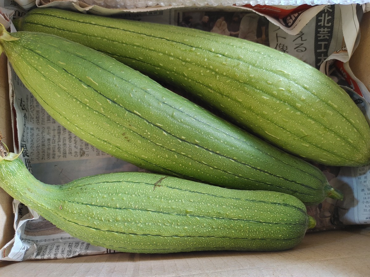 家庭菜園アドバイス ～来年チャレンジ！珍しい野菜栽培～ＪＡ木曽農業と協同の力で木曽の未来をささえます