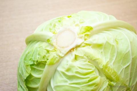 捨てないで！キャベツの芯 茎 もおいしく食べよう！かわさんどっとわーく