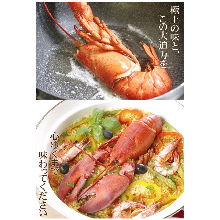 解説！オマール海老 ロブスター の殻のむき方＆爪の割り方。Comment découper du homard