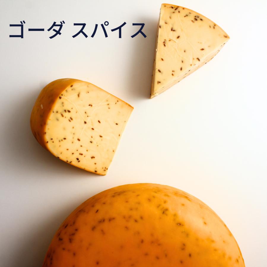 四ツ谷 肉汁ローストビーフ×濃厚ゴーダチーズ『ワインダイナー ヴィンゴ』favy ファビー