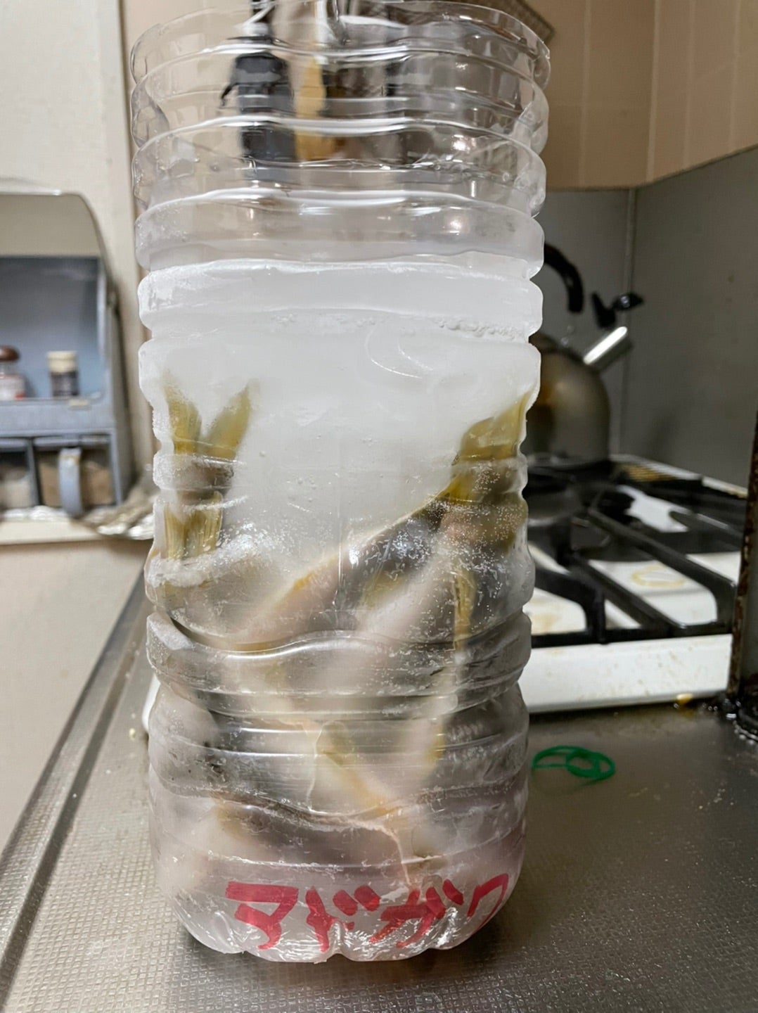 心斎橋パルコ スパイスボックスのご紹介 無印良品