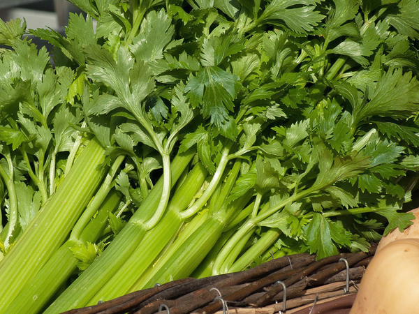 捨てるのは待って！長ネギの青い部分の活用法・簡単レシピ食生活・栄養知識All About