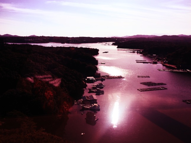 鳥羽・志摩産天然あわびが入りました！黒鮑ステーキもおすすめです。伊勢海老 海鮮蒸し料理 華月