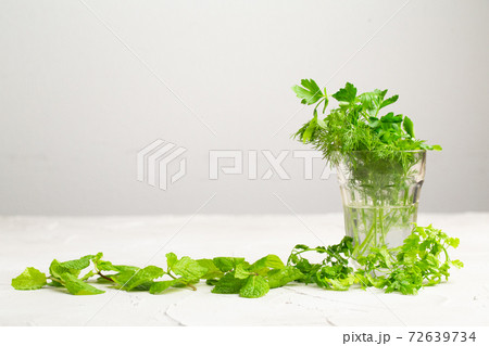 バジル、チャービル、イタリアンパセリを収穫してベランダハーブを食べる、飾る一人暮らしAll About