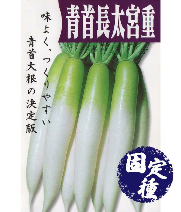 透明になってる大根、食べられるよ。島田春美 ママのみかたひだまりキッチン はるみlab