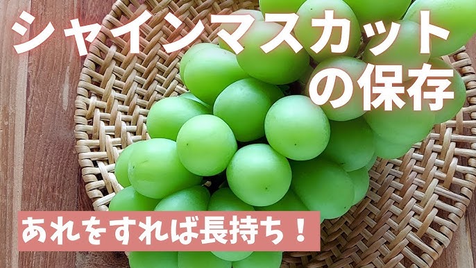 保存版 シャインマスカットの保存方法！果物のプロが、冷蔵・冷凍保存をご紹介！名古屋グルメ ぱるとよ