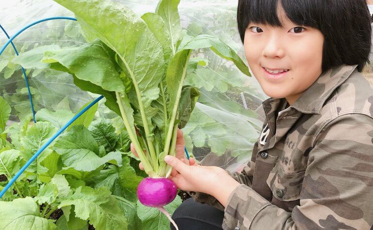 肌にいい食べ物一覧〜おすすめランキング＆レシピも紹介〜VitabridC12 beauty