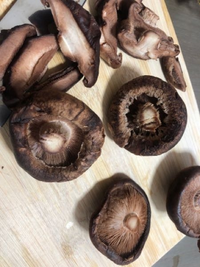 このしいたけってまだ食べれますか？ - 買ってんのから3日くら- Yahoo!知恵袋