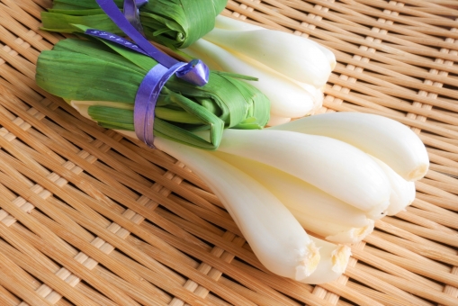 長ネギでできる！玉ねぎ代用のアイデア