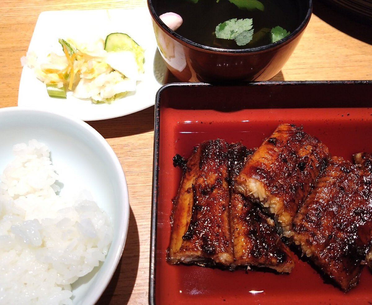 楽天市場 うなぎの蒲焼 国産 熊本産 超特大 280g2尾セット くまもと産 鰻 丑の日 自社養殖 ギフト 化粧箱入り お祝い お中元 :わくわく倶楽部