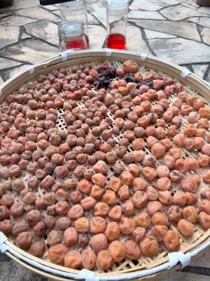 ２０２２年梅仕事、総括。 : 冬はカフェオレ、夏、麦茶