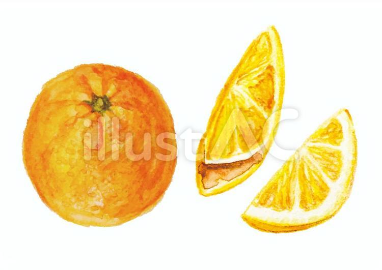 にんじんの重さはどのくらい？カット方法別の重さ早見表 - トクバイニュース