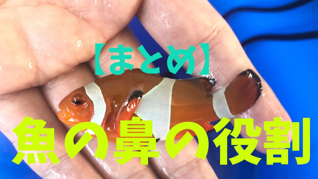 スタバのモーニングおすすめフード10選 & ドリンク8選☆素敵な朝はスタバから！ - まっぷるウェブ